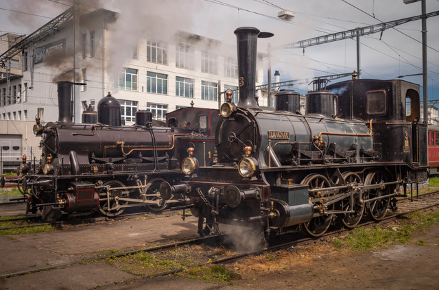 10. und 11. Oktober 2026 Lok LANGNAU zu Gast beim DVZO 
